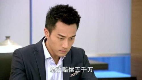 隐秘继承人,揭开家族秘密的神秘面纱